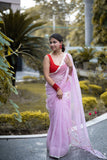 Anaisha - Pink Applique Doria Saree