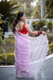 Anaisha - Pink Applique Doria Saree